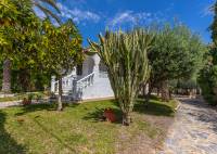 Bruktbolig - Villa - Torrevieja - Rocio del Mar