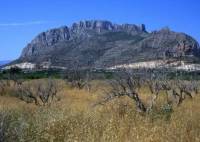 New Build - Apartment - El Verger