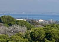 New Build - Apartment - Guardamar del Segura - CENTRO