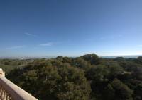 New Build - Apartment - Guardamar del Segura - Pueblo