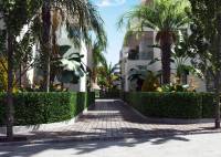 New Build - Apartment - Torre-Pacheco