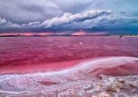 New Build - Apartment - Torrevieja - Centro