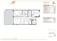 New Build - Apartment - Torrevieja - La Hoya