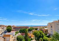 New Build - Apartment - Torrevieja - Nueva Torrevieja