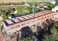 New Build - Town House - Pilar de la Horadada - pueblo