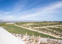 New Build - Villa - Algorfa - La Finca Golf