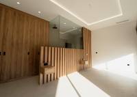 New Build - Villa - Benejúzar - alta