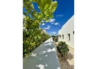New Build - Villa - Benijofar - Pueblo