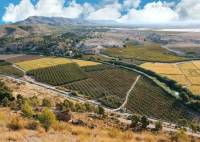 New Build - Villa - Calasparra - Coto riñales