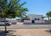 New Build - Villa - Daya Nueva - CENTRO