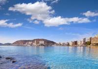 New Build - Villa - Els Poblets - Partida Barranquets