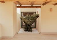 New Build - Villa - Jávea Xàbia - Valle del Sol