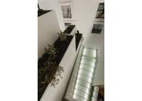 New Build - Villa - Orihuela Costa - Dehesa de campoamor