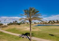 New Build - Villa - Pilar de la Horadada - Lo Romero Golf