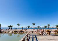 New Build - Villa - Pilar de la Horadada