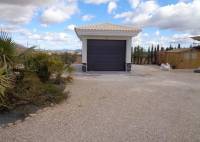 New Build - Villa - Pinoso - Camino Del Prado