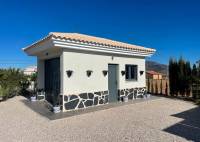 New Build - Villa - Pinoso - Camino Del Prado