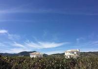 New Build - Villa - Pinoso - Camino Del Prado