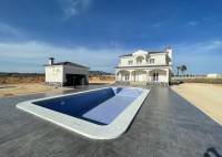 New Build - Villa - Pinoso - Camino Del Prado