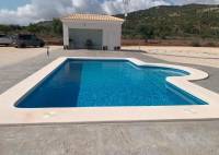 New Build - Villa - Pinoso - Camino Del Prado