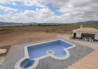 New Build - Villa - Pinoso - Camino Del Prado