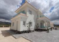 New Build - Villa - Pinoso - Camino Del Prado