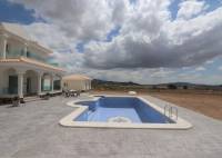New Build - Villa - Pinoso - Camino Del Prado