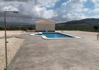 New Build - Villa - Pinoso - Camino Del Prado