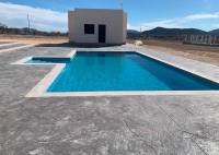 New Build - Villa - Pinoso - Camino Del Prado