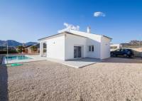 New Build - Villa - Pinoso - Campo