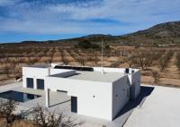 New Build - Villa - Pinoso - Campo