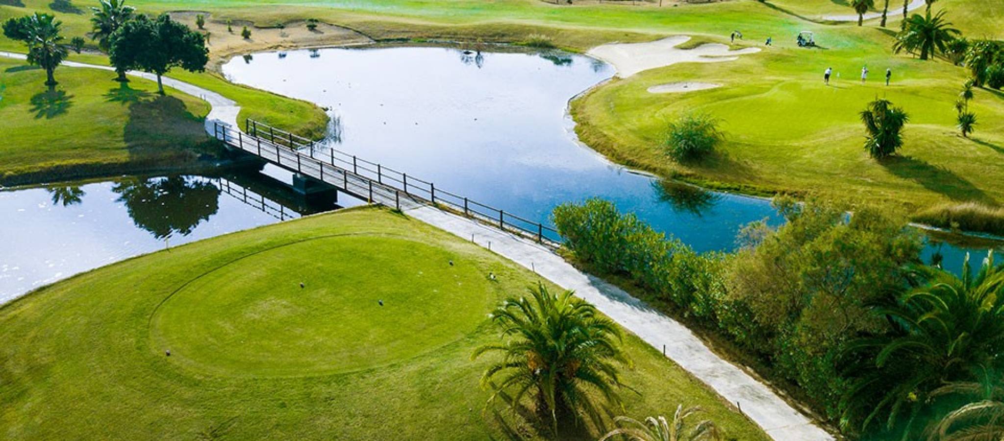 New Build - Villa - San Miguel de Salinas - Vistabella Golf