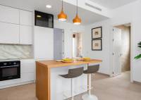 New Build - Villa - Vera - Vera playa