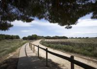 Nybygg - ett-etasjes hus - Torrevieja - Aguas Nuevas