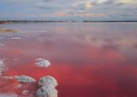 Nybygg - ett-etasjes hus - Torrevieja - Lago Jardín II