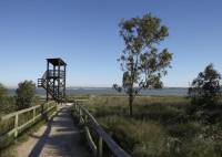 Nybygg - ett-etasjes hus - Torrevieja - Torrejón