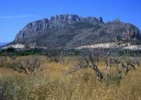 Nybygg - Leilighet - El Verger - Zona De La Playa