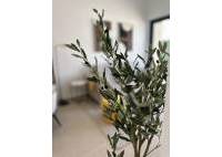 Nybygg - Leilighet - San Fulgencio - Pueblo