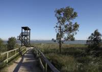 Nybygg - Leilighet - Torrevieja - Altos del Sol
