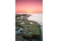 Nybygg - Leilighet - Torrevieja - Altos del Sol