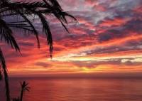 Nybygg - Leilighet - Torrevieja - Altos del Sol