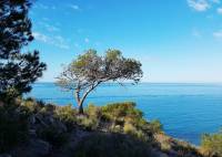 Nybygg - Leilighet - Villajoyosa - Playa Les Torres