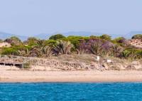 Nybygg - Toppetasje - Guardamar del Segura - Pueblo