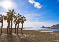 Nybygg - Villa - Els Poblets - Partida Barranquets