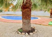 Nybygg - Villa - La Romana - Villas de la Romana