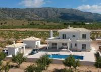 Nybygg - Villa - Pinoso - Camino Del Prado