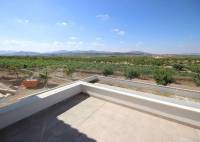 Nybygg - Villa - Pinoso - Camino Del Prado