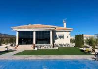 Nybygg - Villa - Pinoso - Camino Del Prado