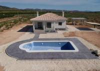 Nybygg - Villa - Pinoso - Camino Del Prado