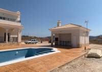 Nybygg - Villa - Pinoso - Camino Del Prado